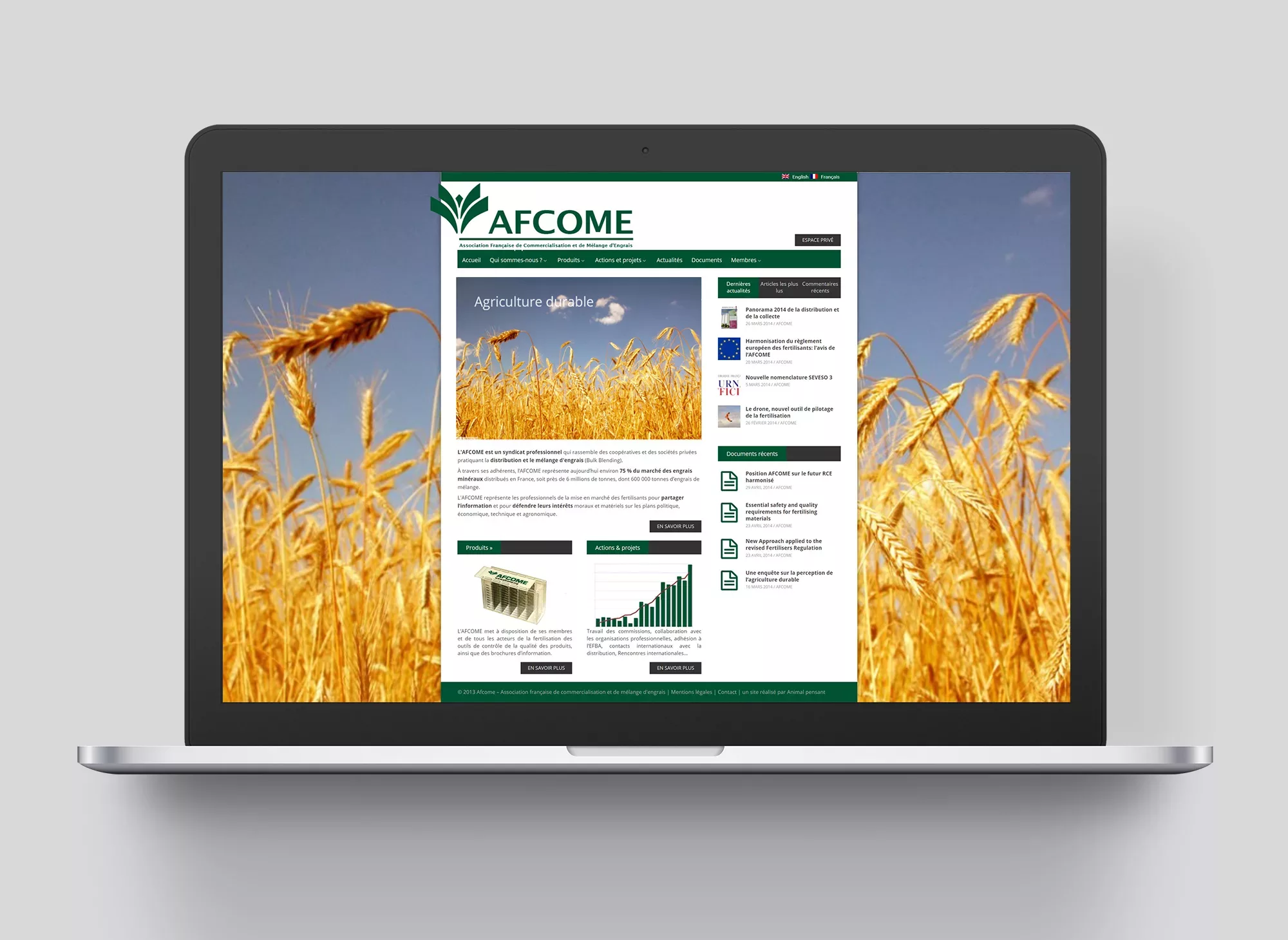 afcome-refonte-site-web-Animal-pensant-1.docx