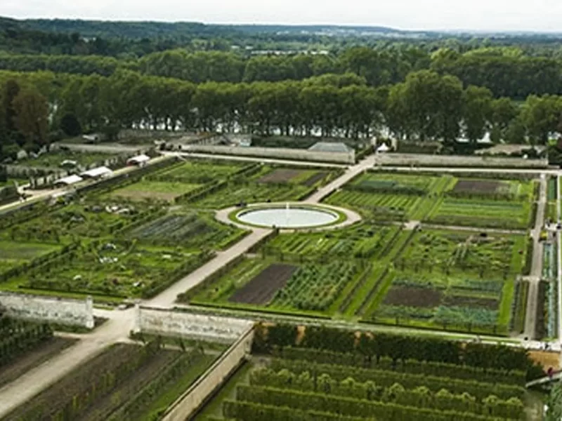 verailles-potager-animal-pensant