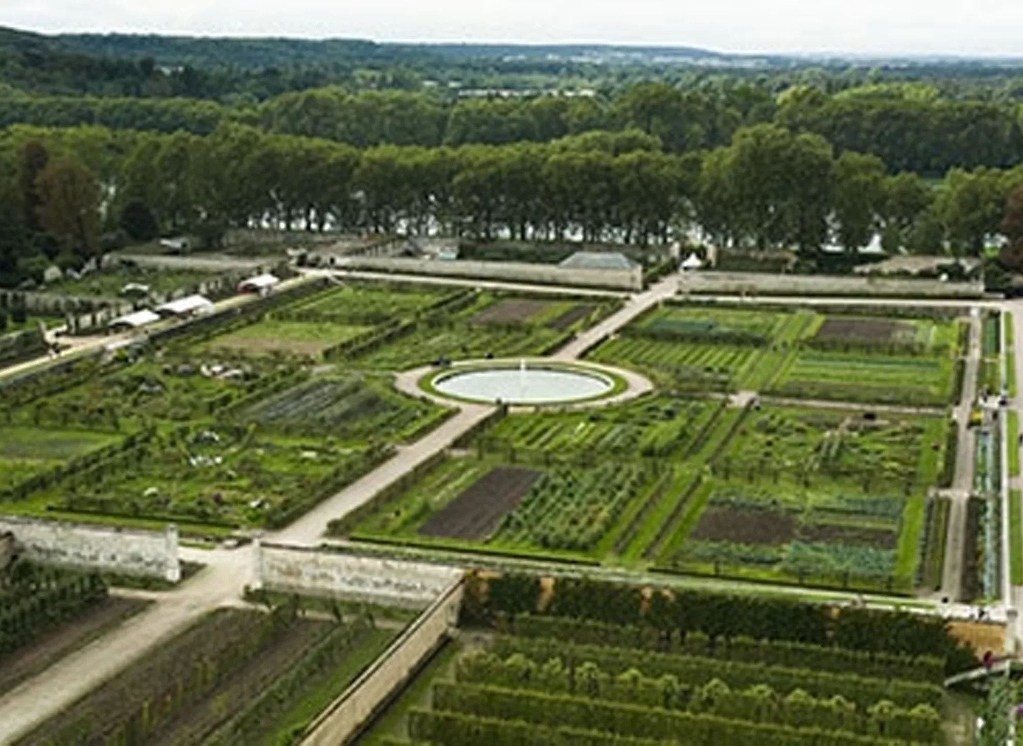 verailles-potager-animal-pensant