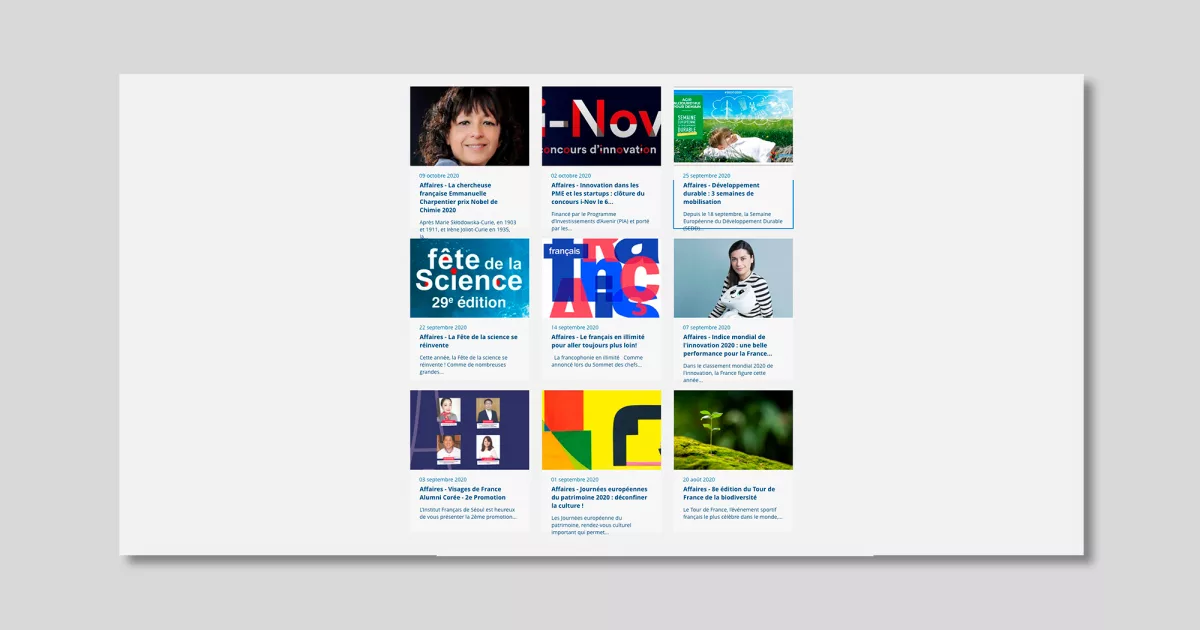 animation-site-internet-animal-pensant-france-alumni-4