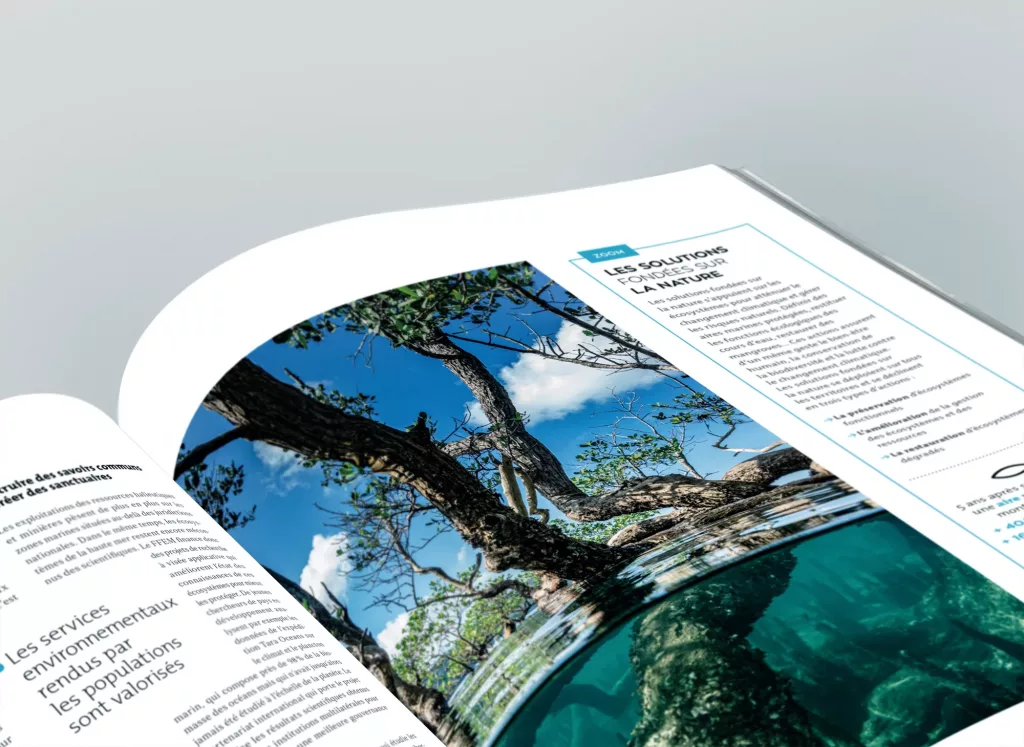 presentation-rapport-annuel-FFEM-2019