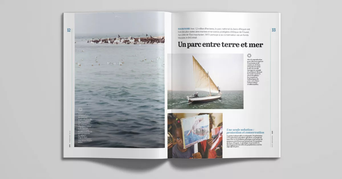 rapport-activite2019-animal-pensant-afd-3