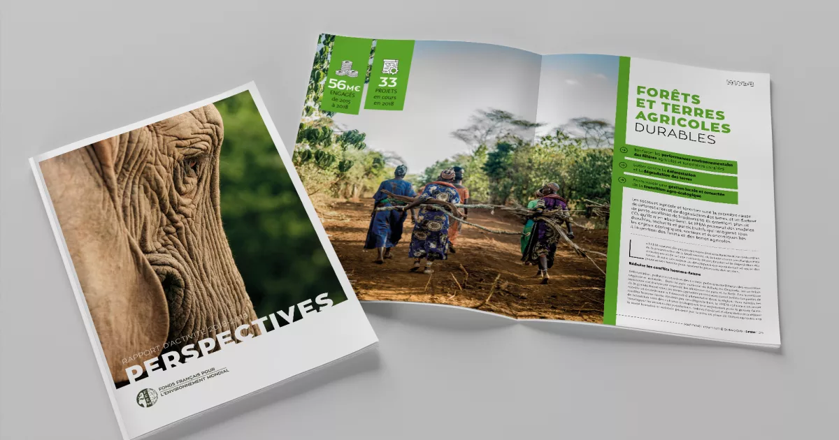 rapport-annuel-FFEM-2019-animal-pensant-1