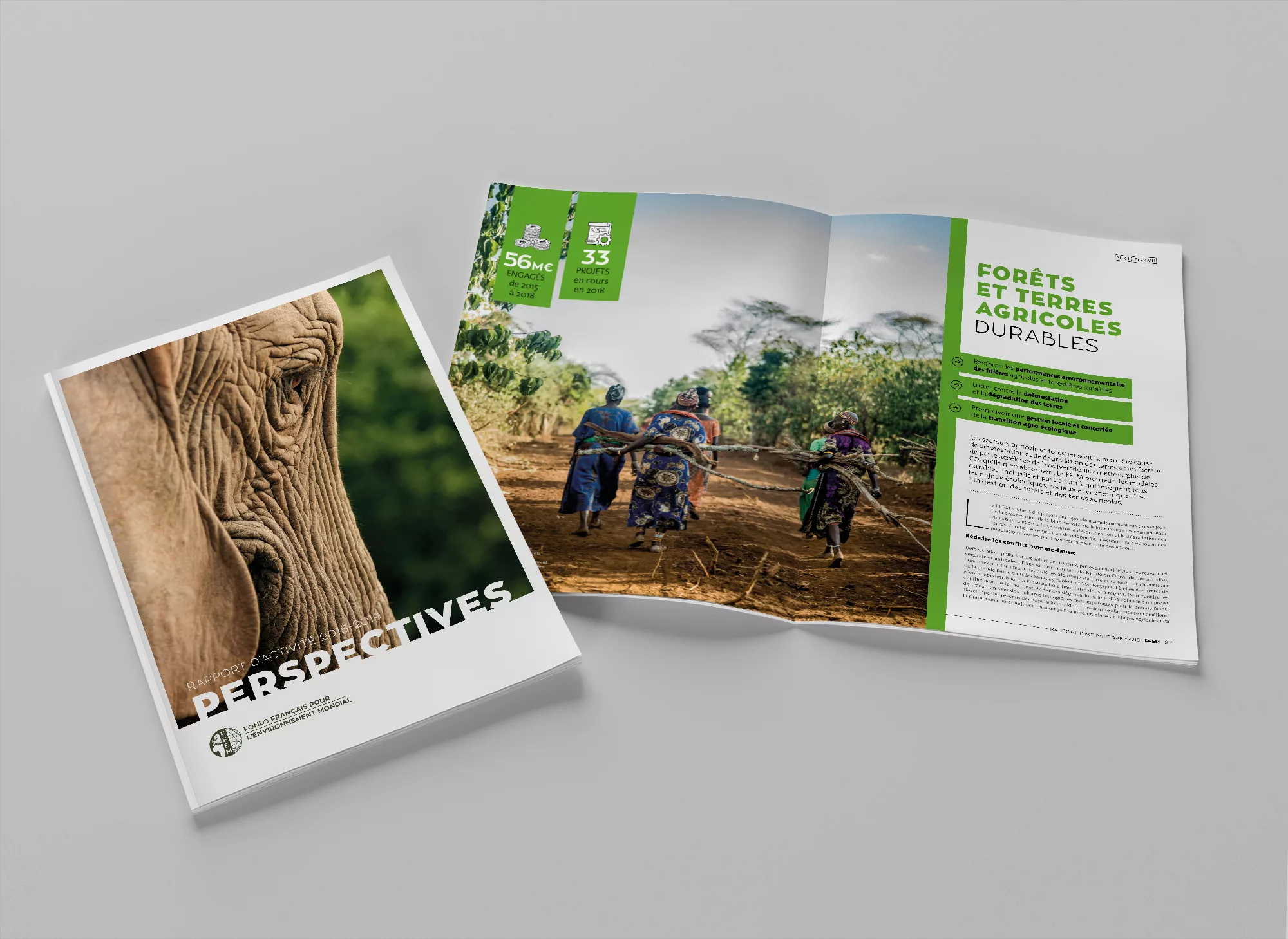 rapport-annuel-FFEM-2019-animal-pensant-1