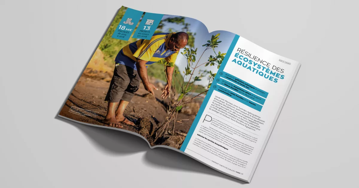 rapport-annuel-FFEM-2019-animal-pensant-2