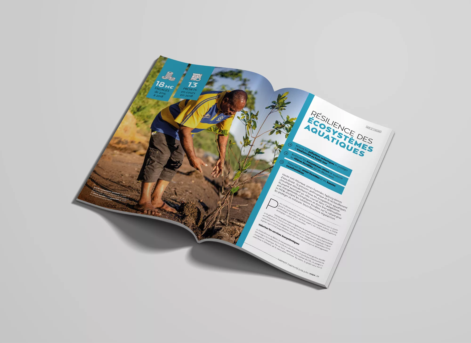 rapport-annuel-FFEM-2019-animal-pensant-2