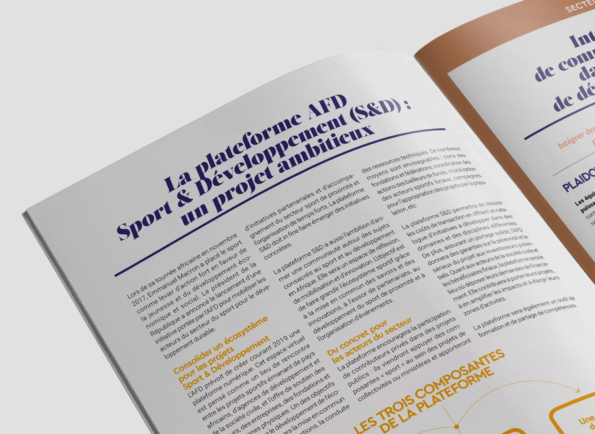 AFD-Sport-Animal-pensant-1