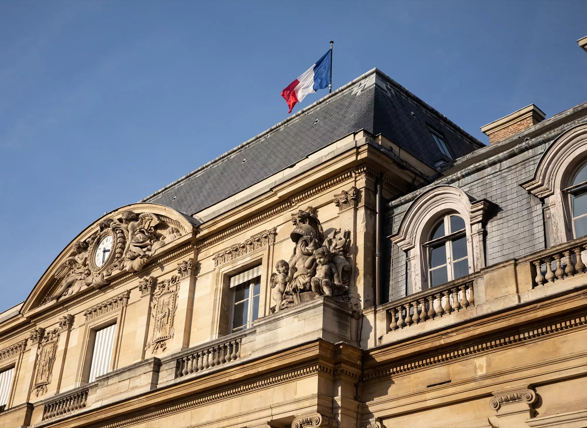 appel-doffres-animal-pensant-conseil-etat-1