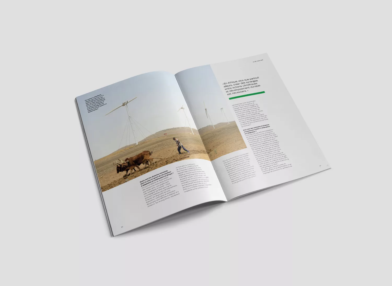 brochure-id4d-odd-animal-pensant-afd-4