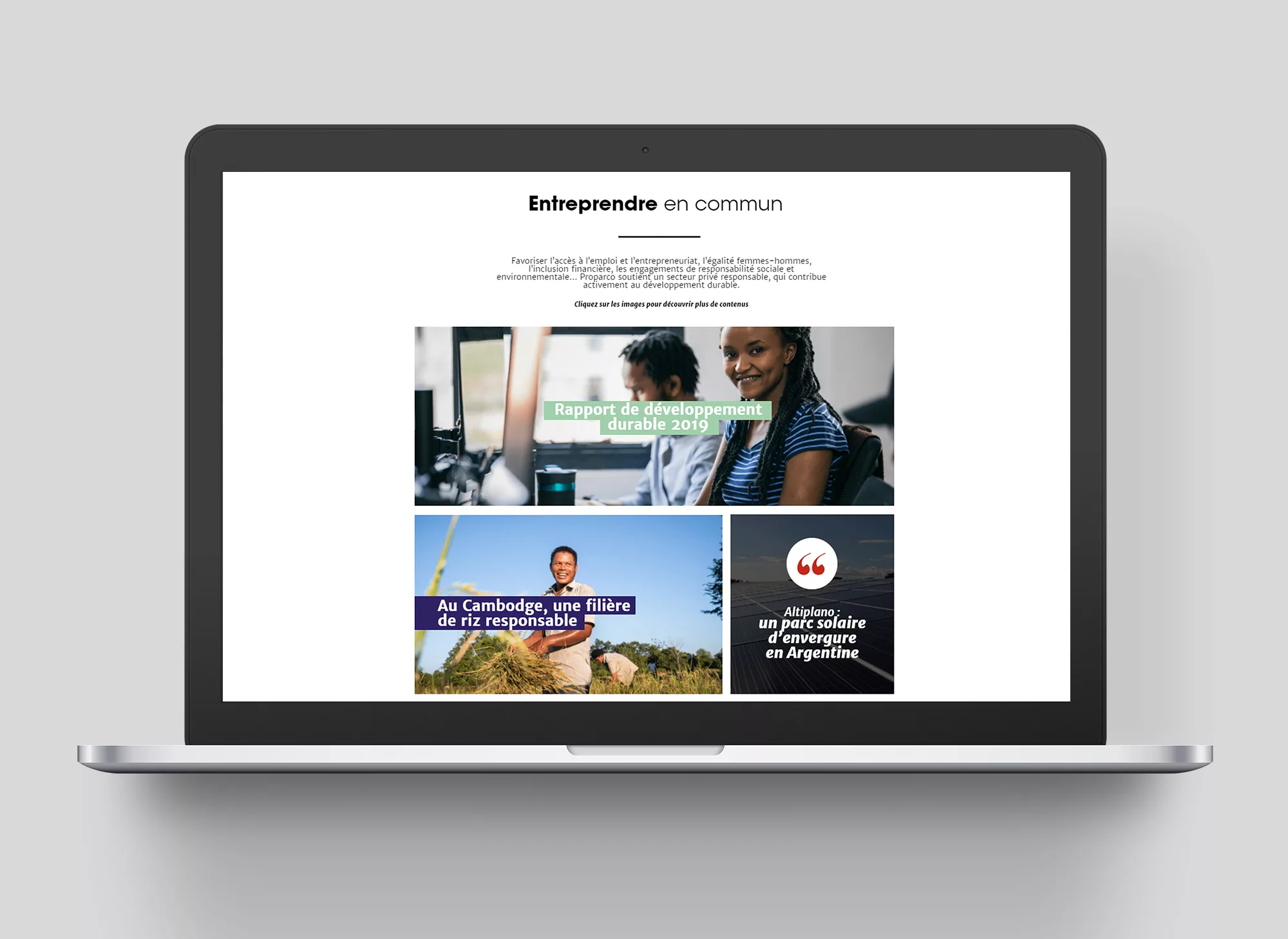 datawall-2020-Proparco-Animal-pensant-2