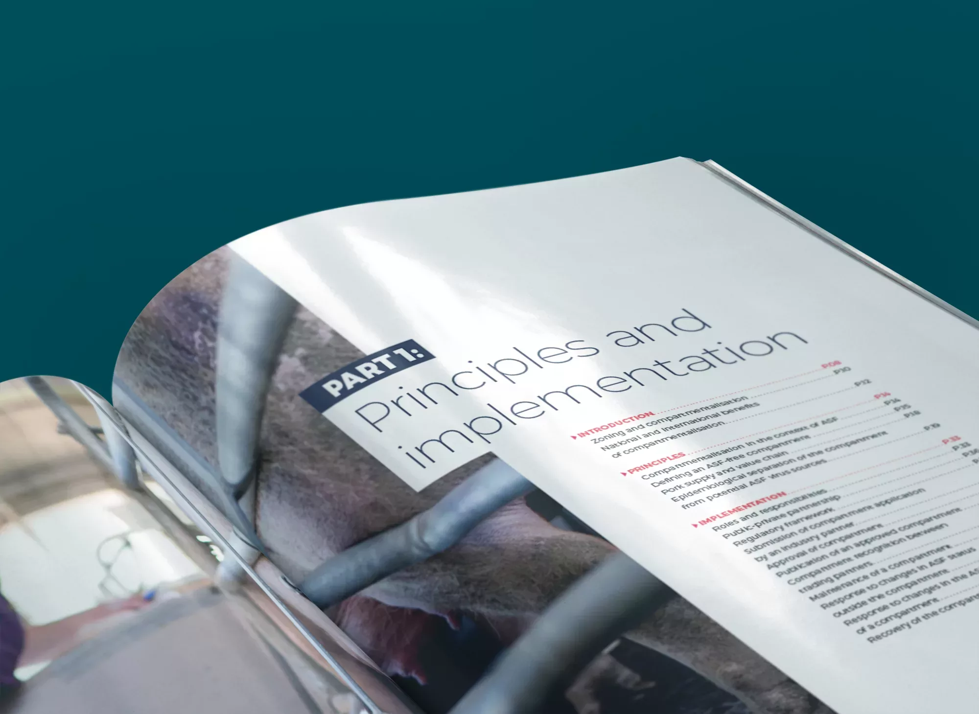 oie-asf-guidline-animal-pensant-0-vert