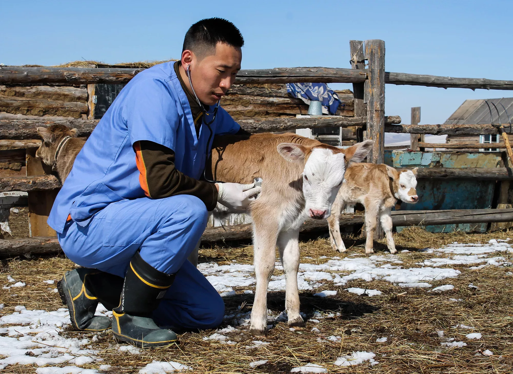 actu-oie-appel-offre-2021