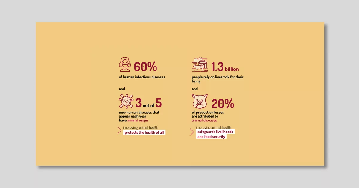 oie-rapport-activite-2020-web-animal-pensant-3