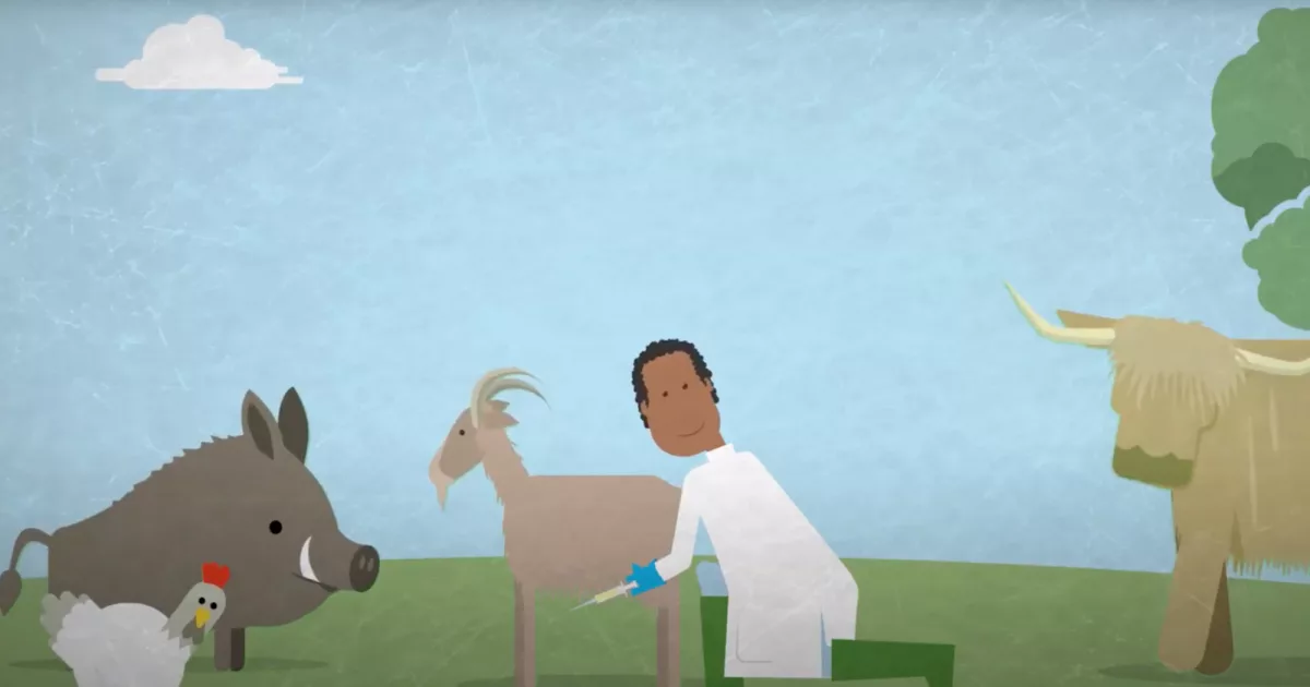 oie-video-2020-web-animal-pensant-02