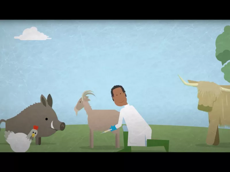 oie-video-2020-web-animal-pensant-02