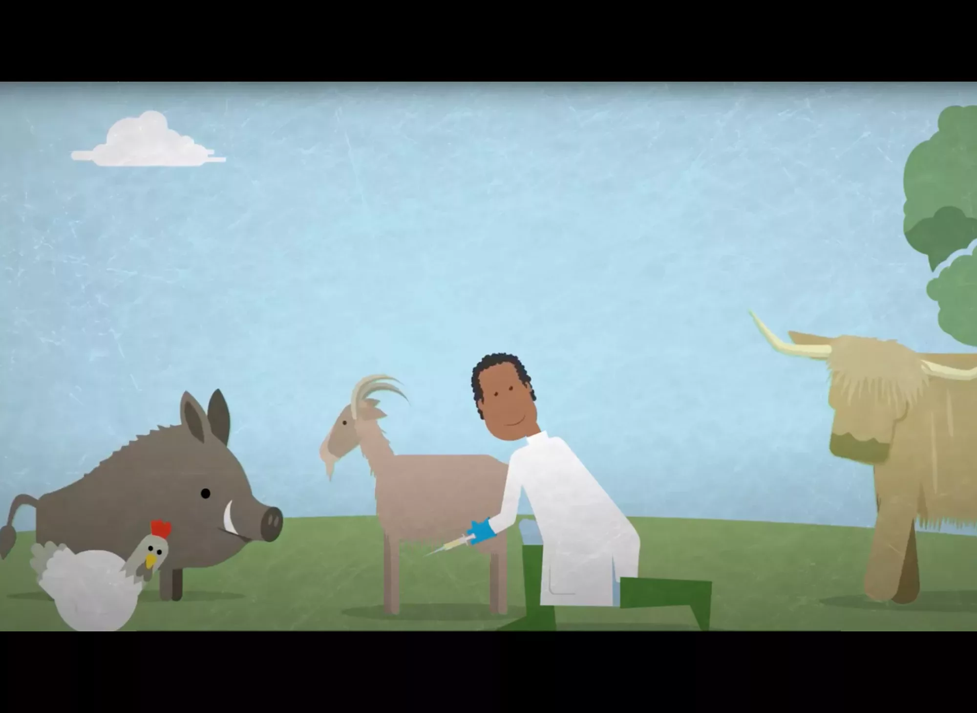 oie-video-2020-web-animal-pensant-02