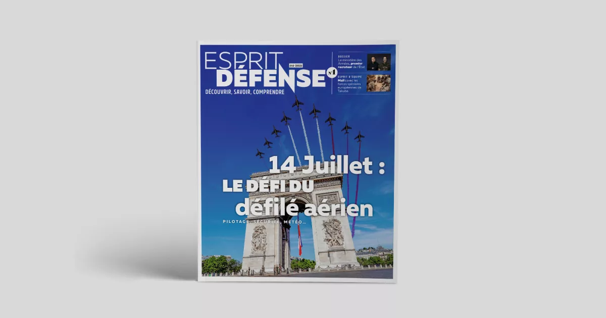 magasine-des-armees-animal-pensant-calameo