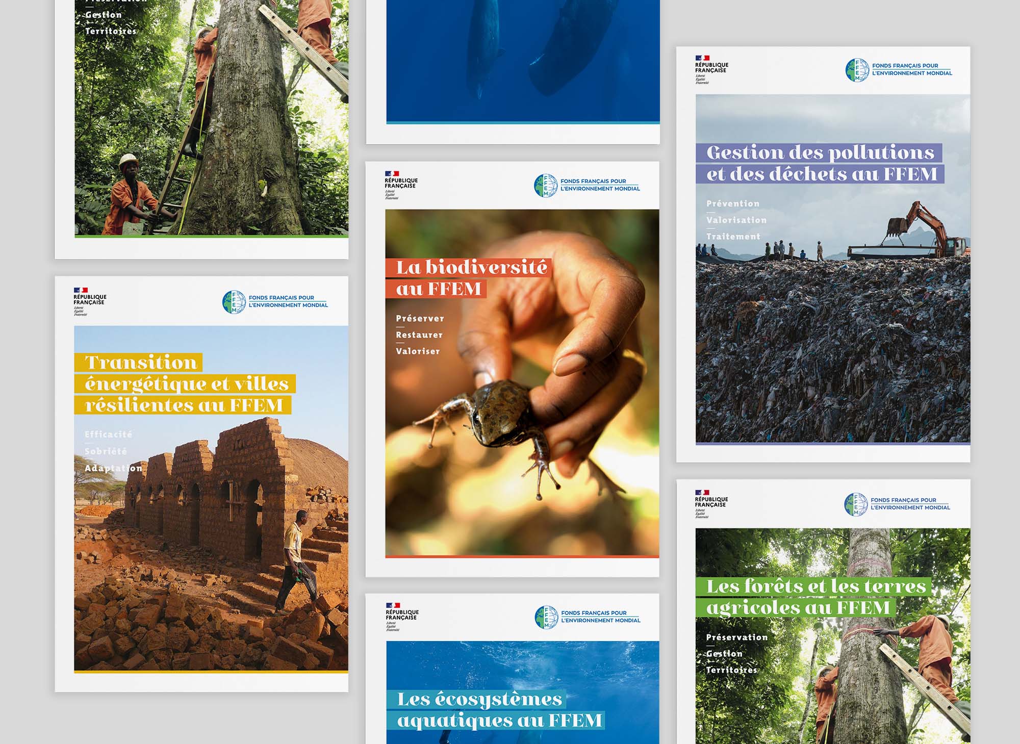 plaquette-animal-pensant-ffem-01