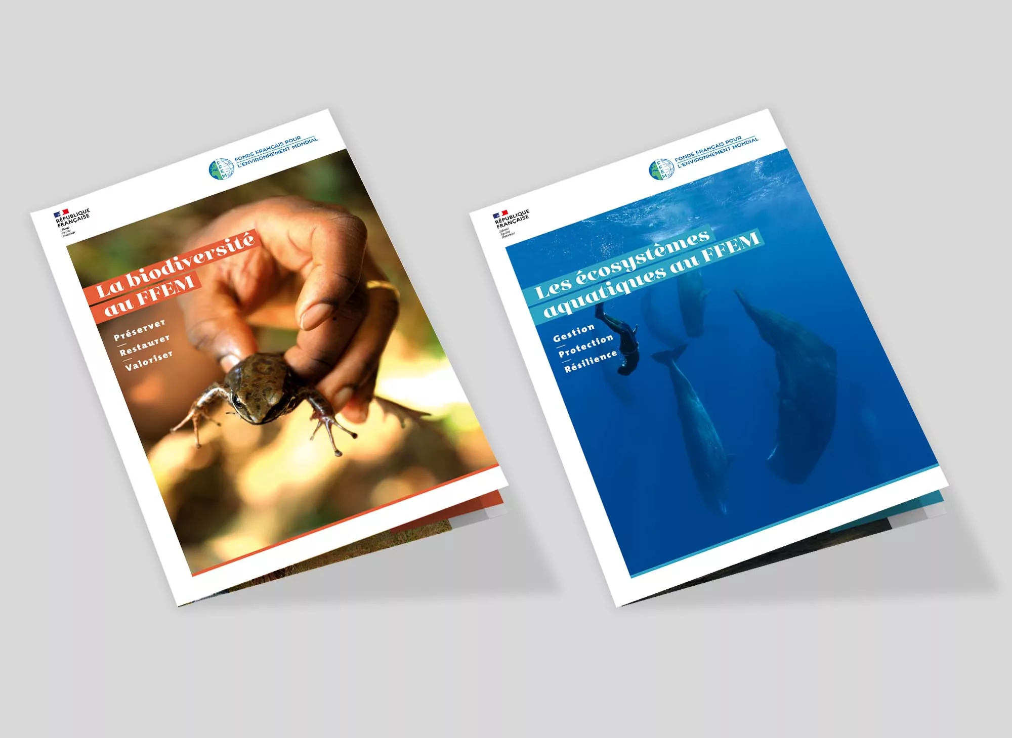 plaquette-animal-pensant-ffem-02