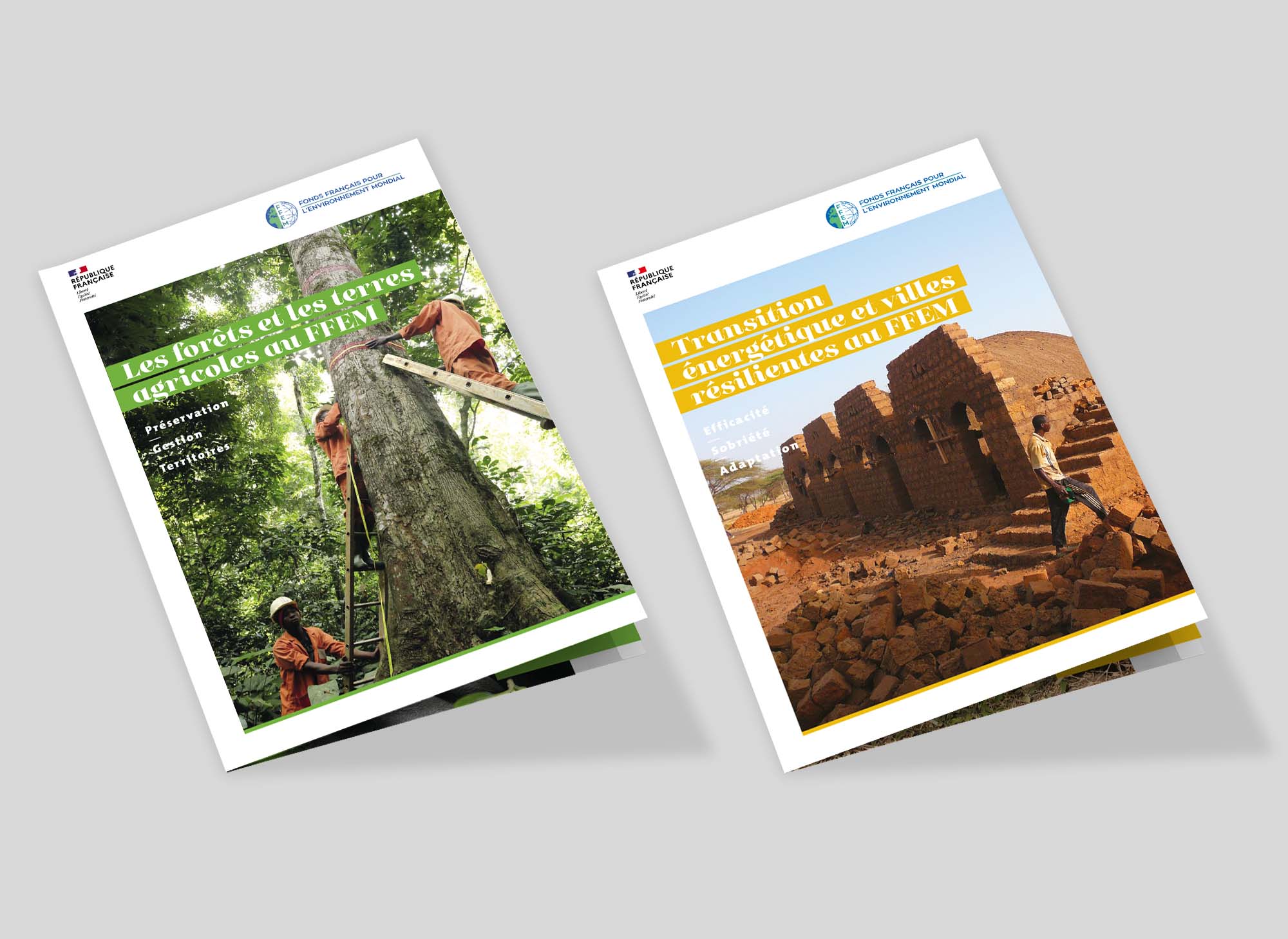 plaquette-animal-pensant-ffem-03