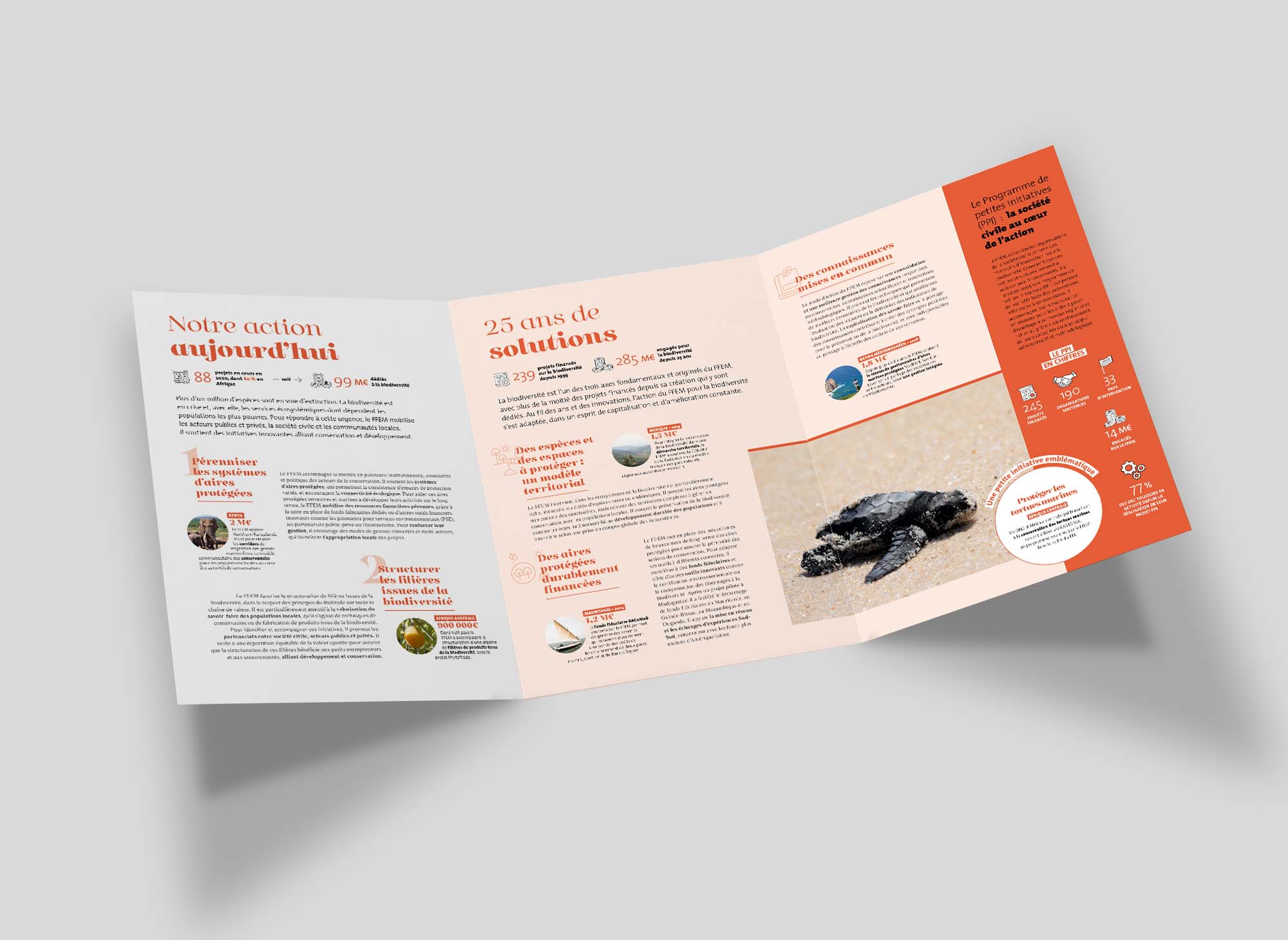 plaquette-animal-pensant-ffem-05