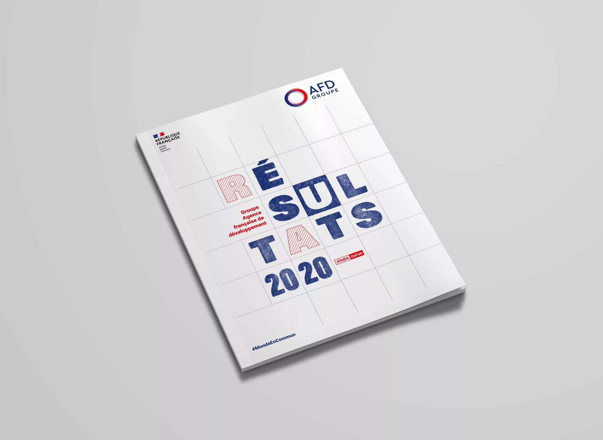 rapport-activite-brochure-2021-animal-pensant-afd-02