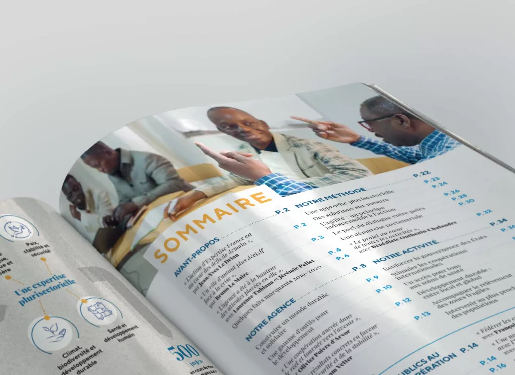 Expertise France rapport annuel 2019