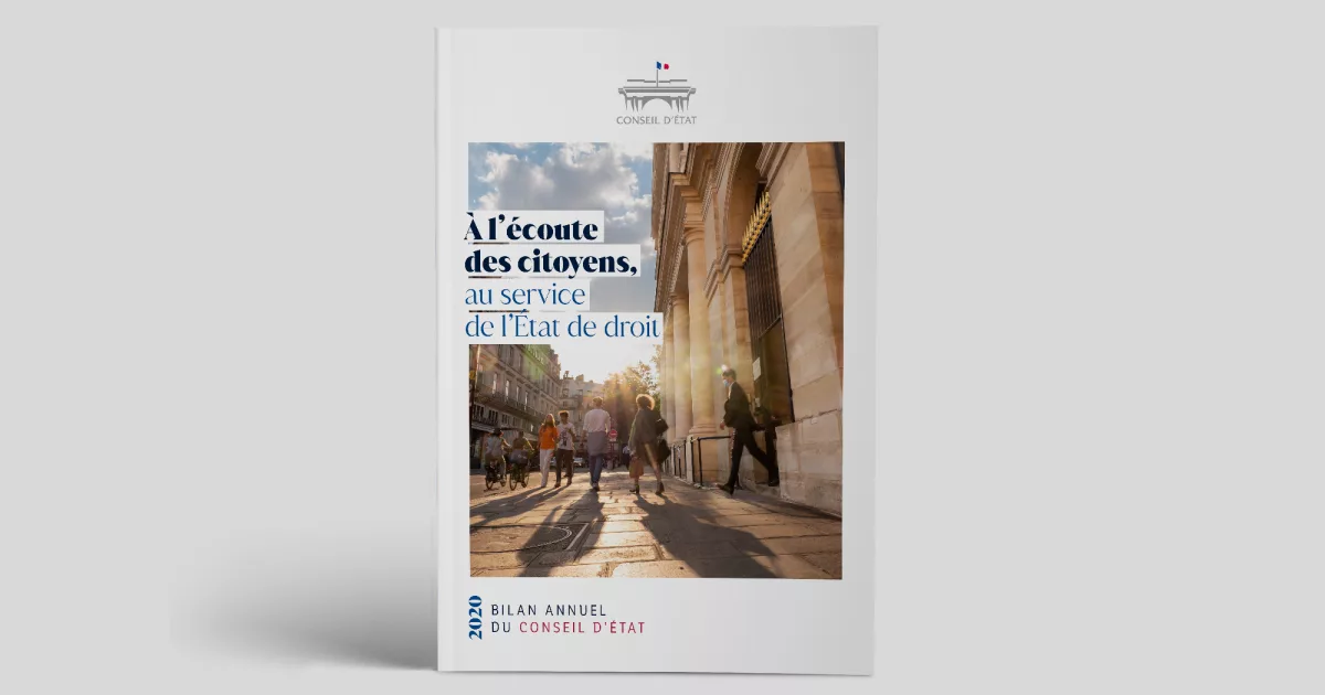 rapport-activite-animal-pensant-conseil-etat-calameo