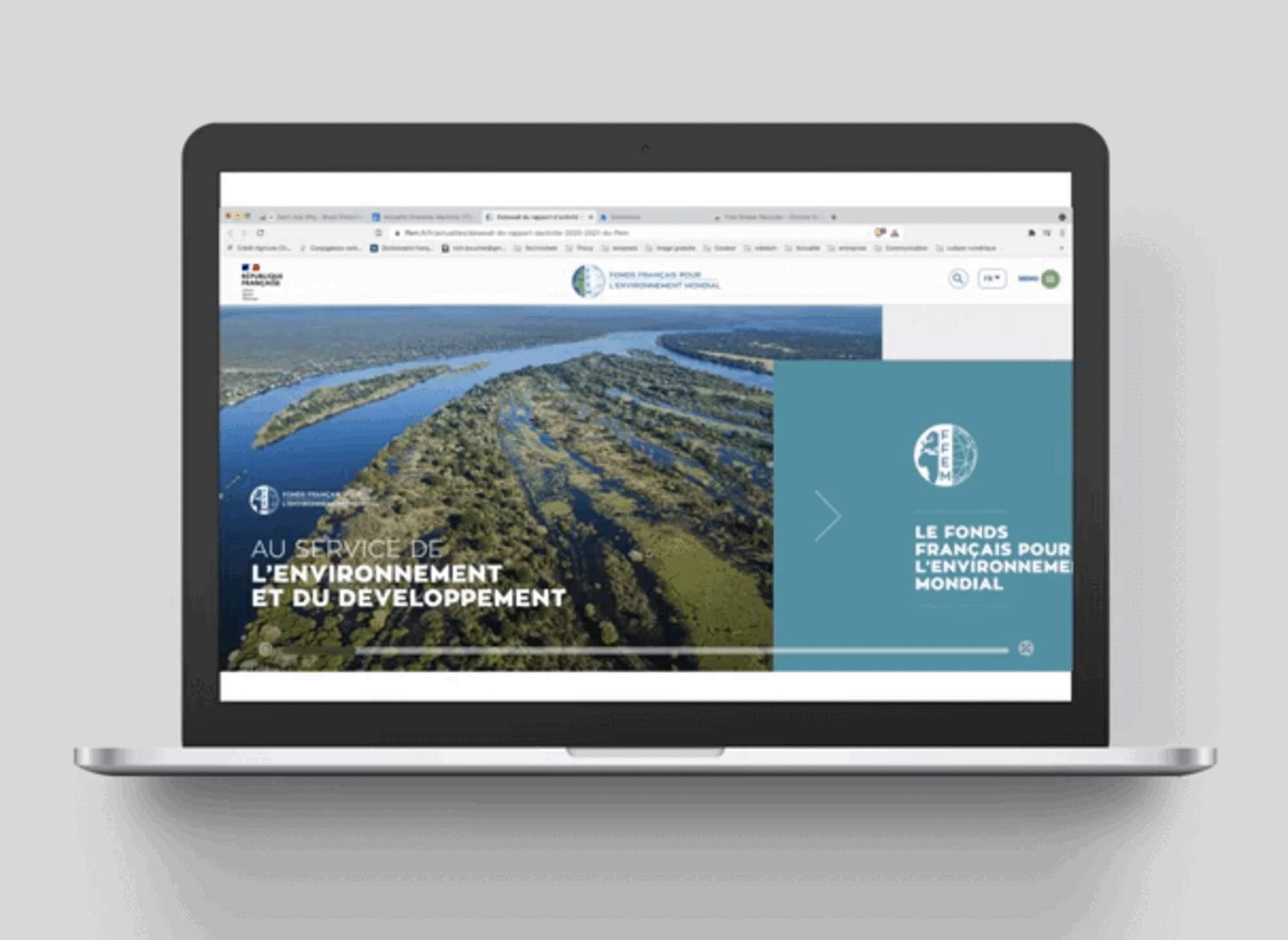 datawall-2020-animal-pensant-FFEM-BD
