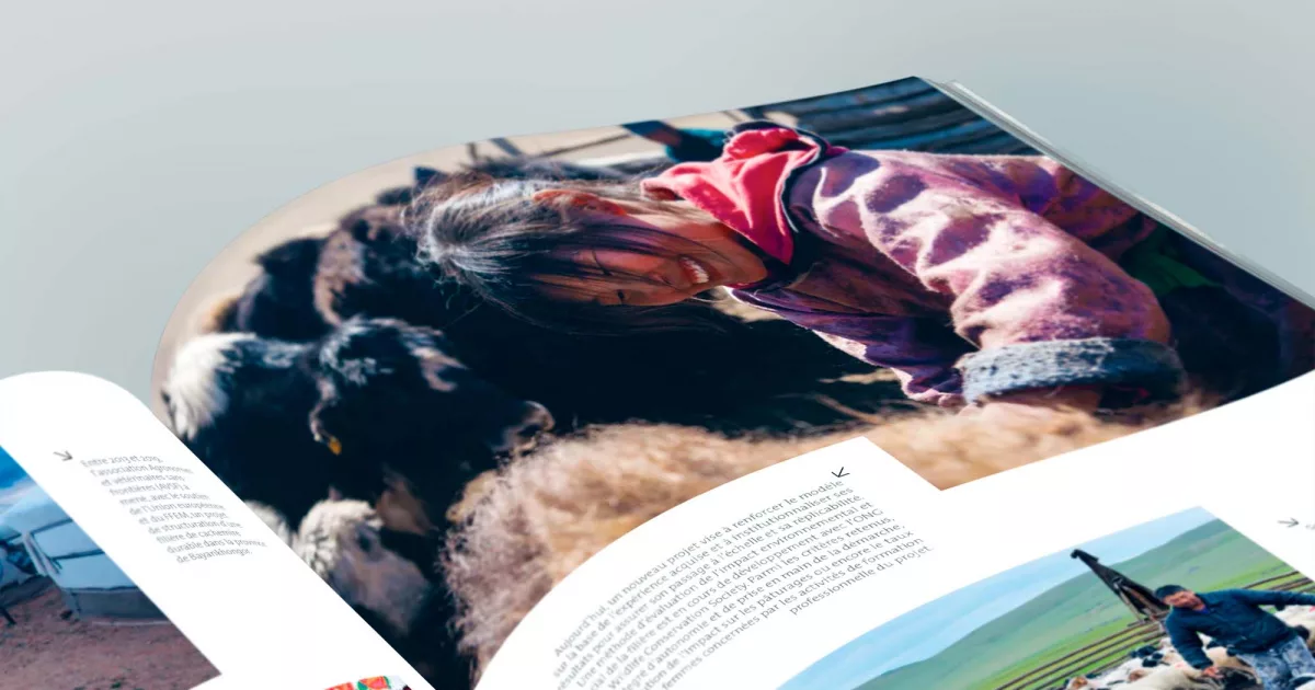 rapport-activite-2020-animal-pensant-FFEM-1