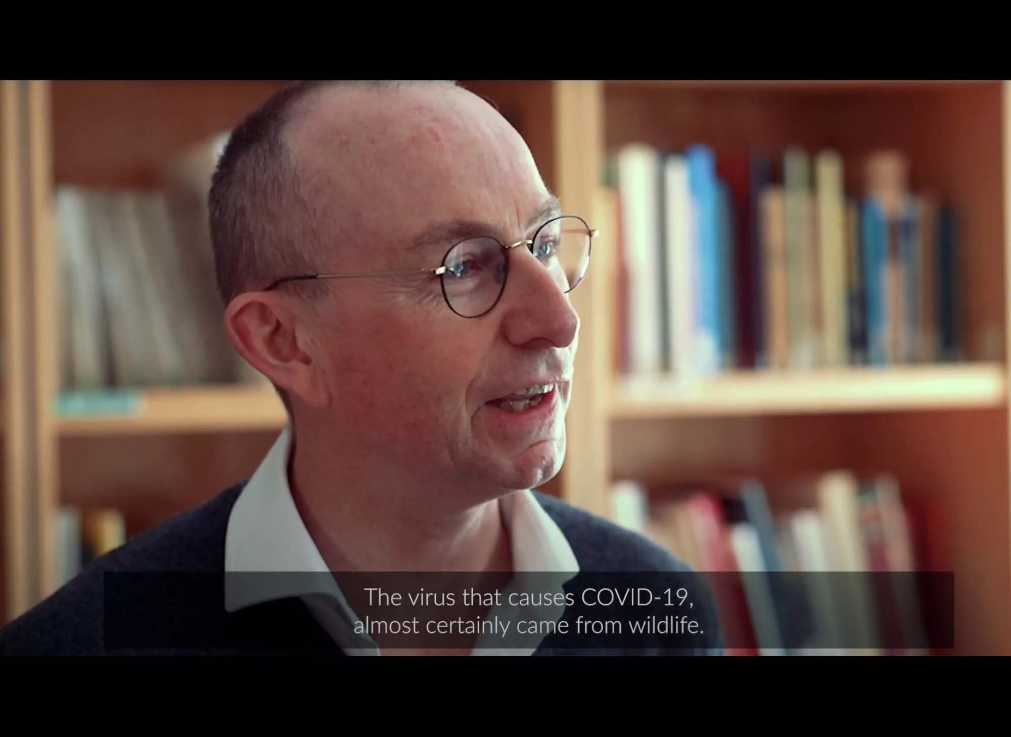 oie-video-faune-sauvage-4