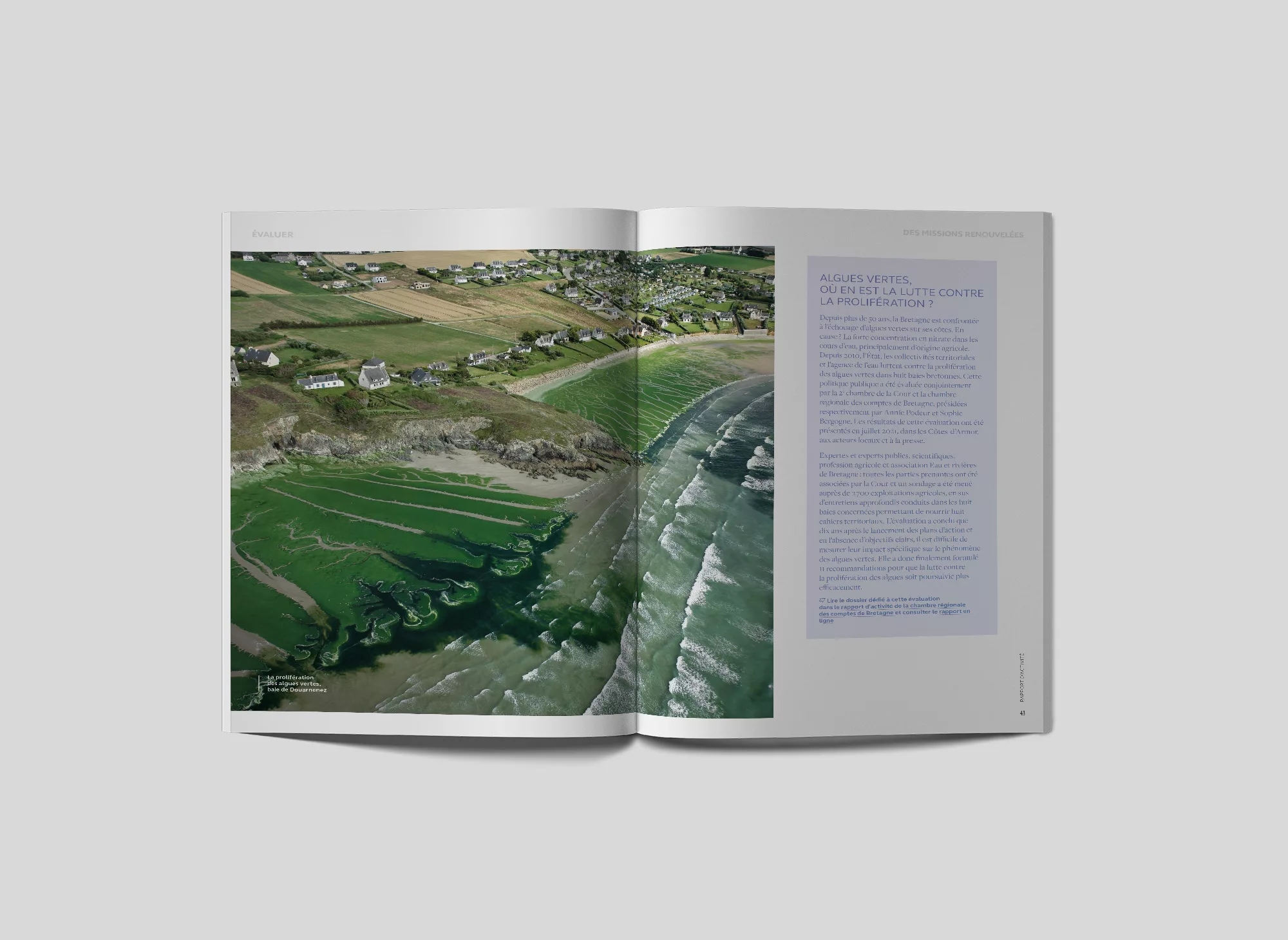 rapport-activite-animal-pensant-cour-des-compte-04