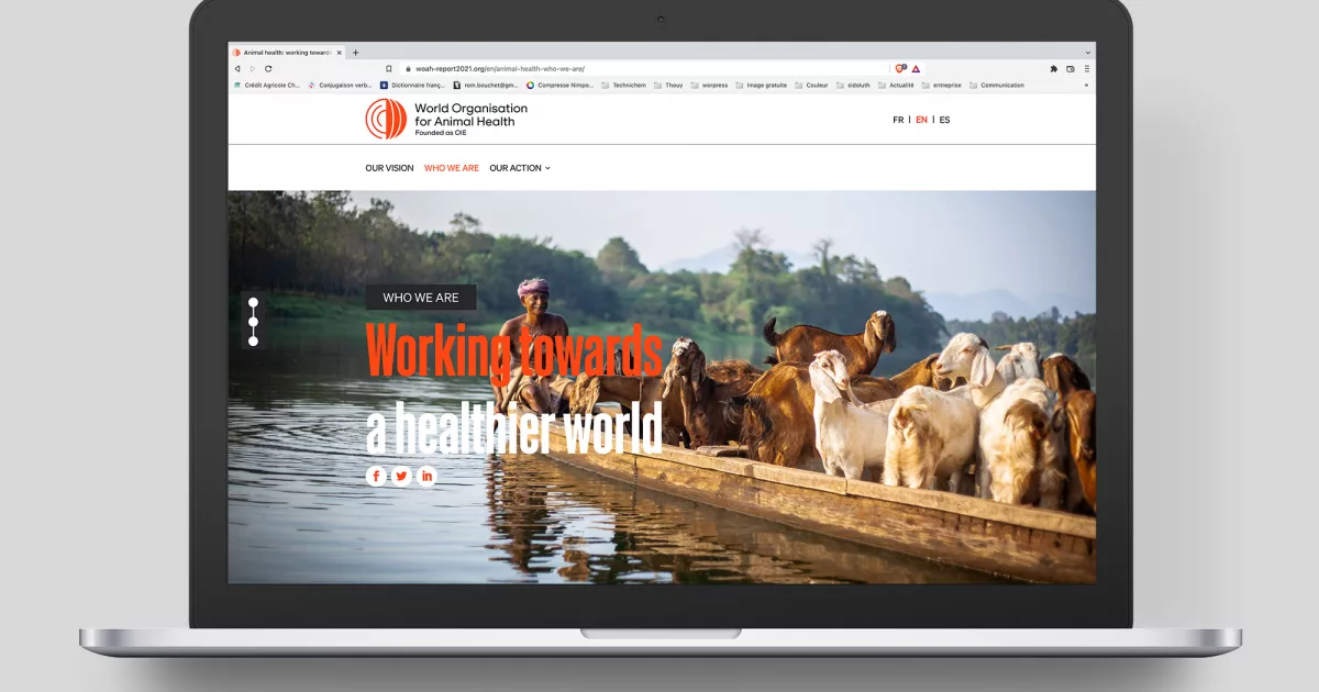 woah-rapport-activite-2021-web-animal-pensant-1