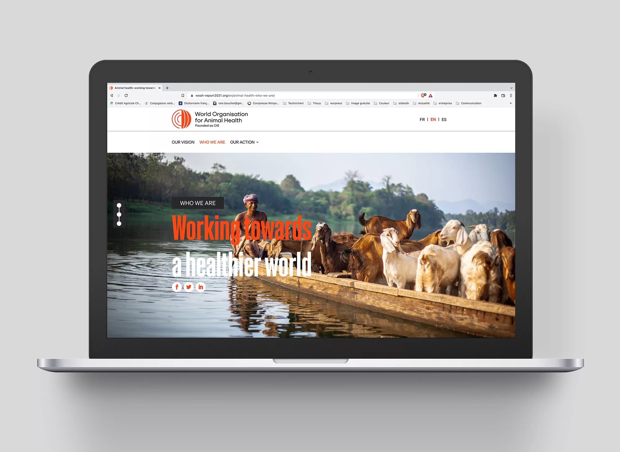 woah-rapport-activite-2021-web-animal-pensant-1