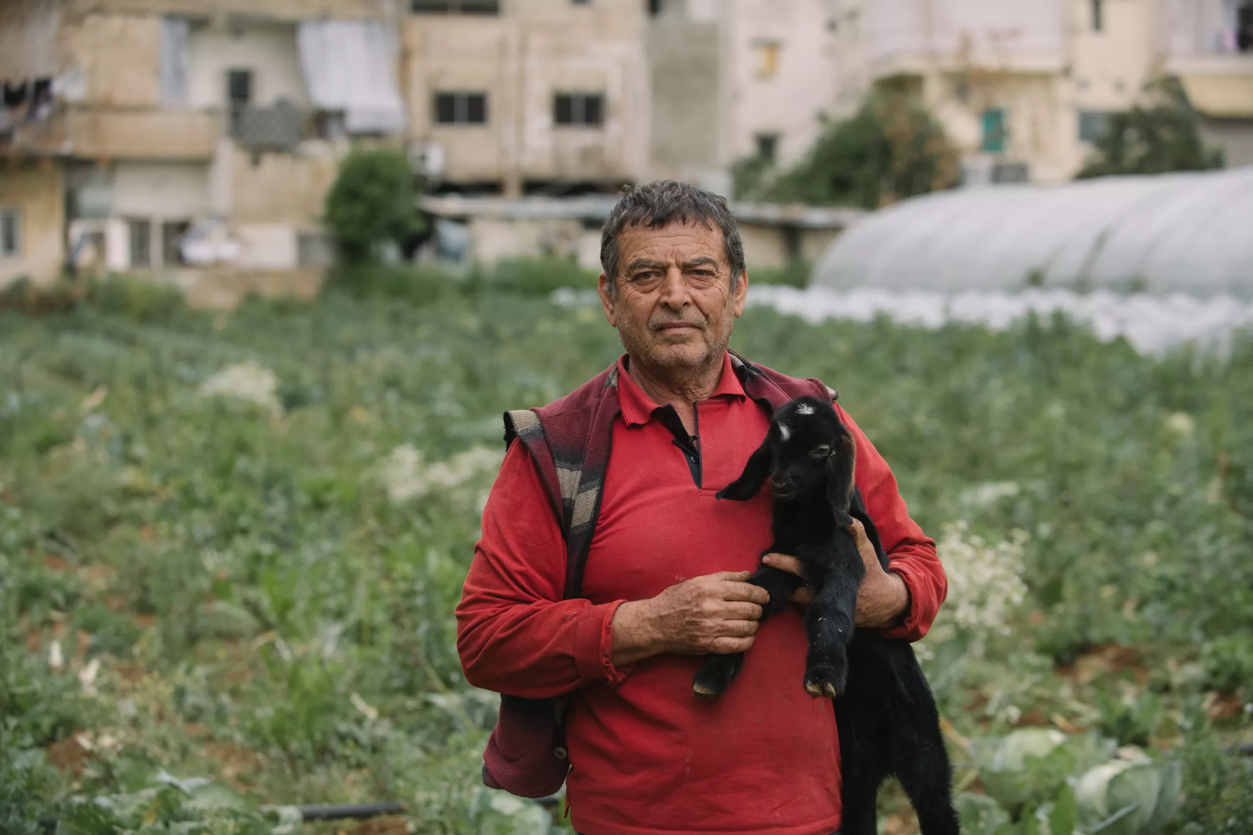 Reportage photo et vidéo au Liban | Animal pensant pour l’Organisation mondiale de la santé animale