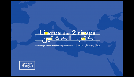 Institut français : Promouvoir la culture littéraire méditerranéenne en vidéos