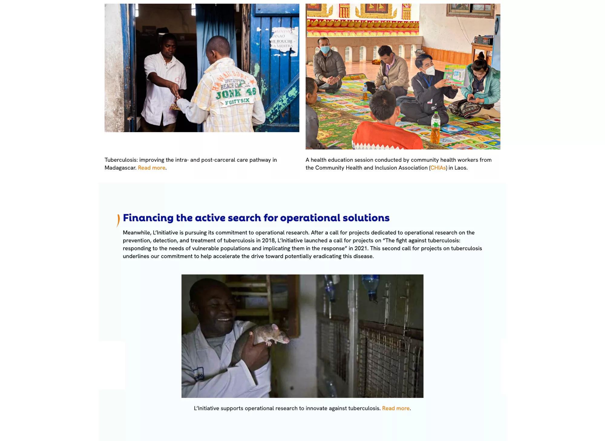 Pandemics: A Series of Web Articles for L’Initiative