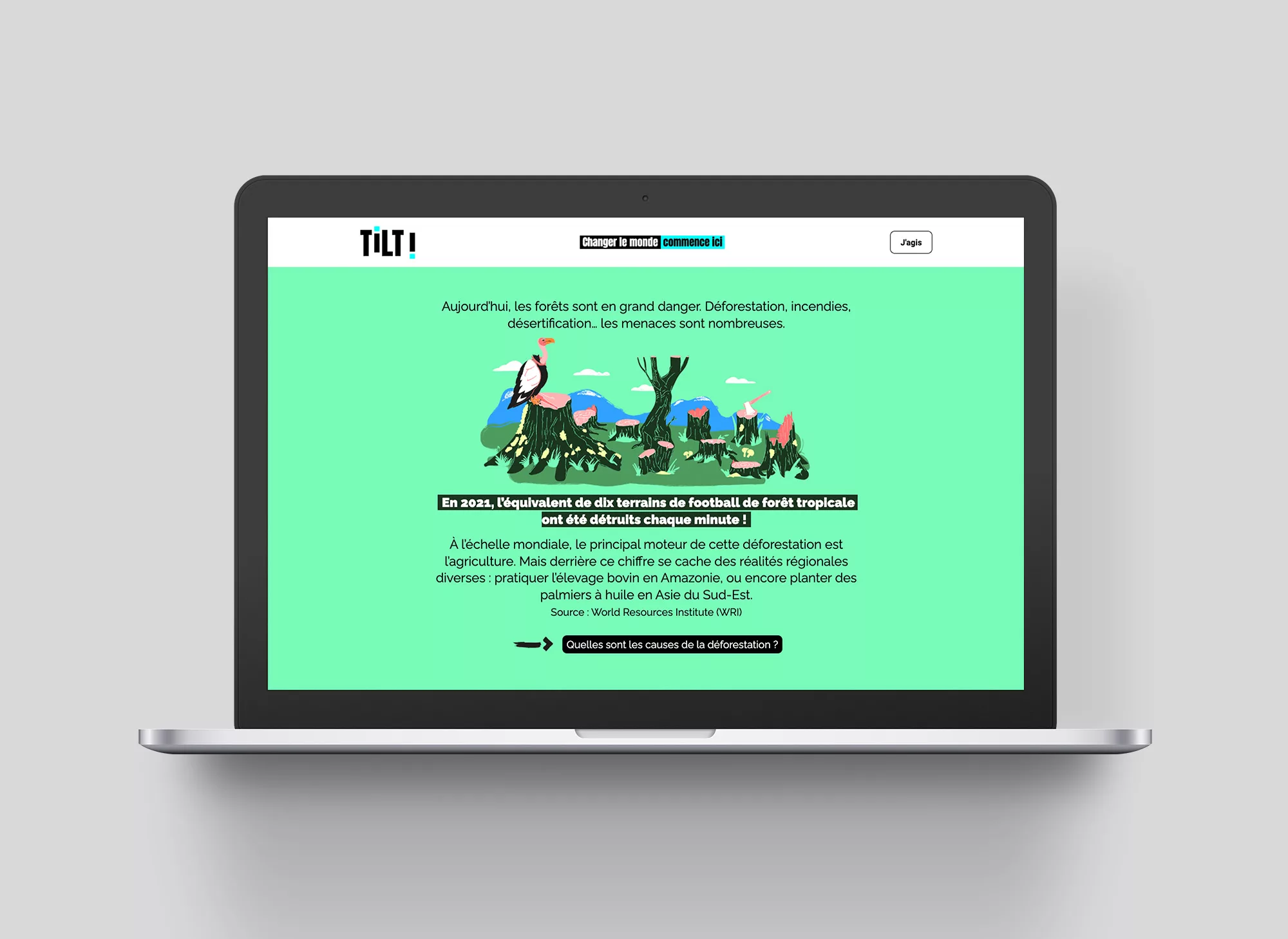Tilt | Landing page Forêts