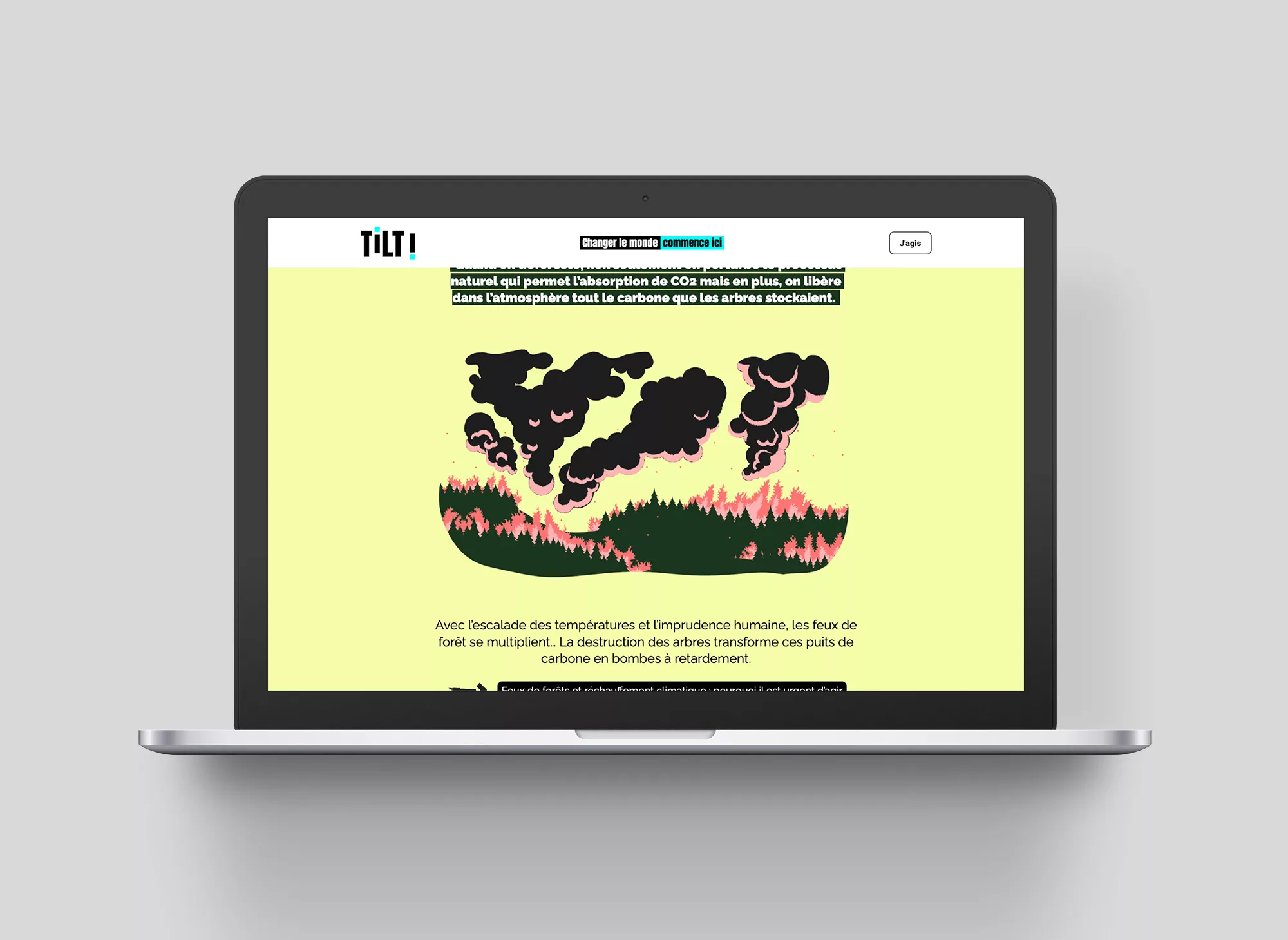 Tilt | Landing page Forêts