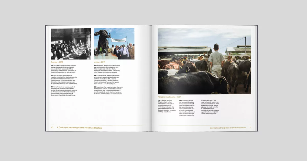 Livre photo centenaire OMSA – Animal pensant