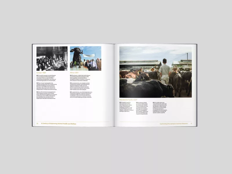 Livre photo centenaire OMSA – Animal pensant