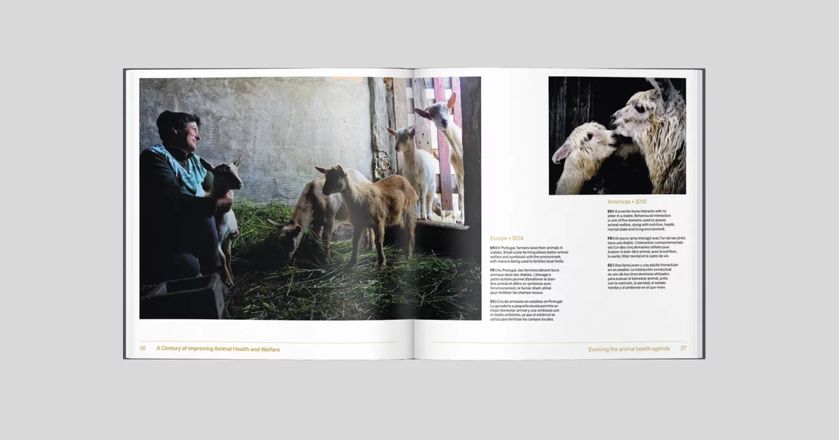 Livre photo centenaire OMSA – Animal pensant