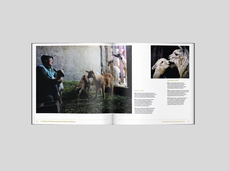 Livre photo centenaire OMSA – Animal pensant