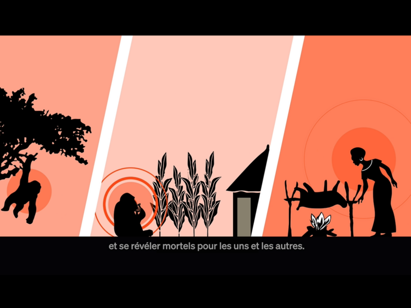 Motion design EBO-SURSY – Animal Pensant