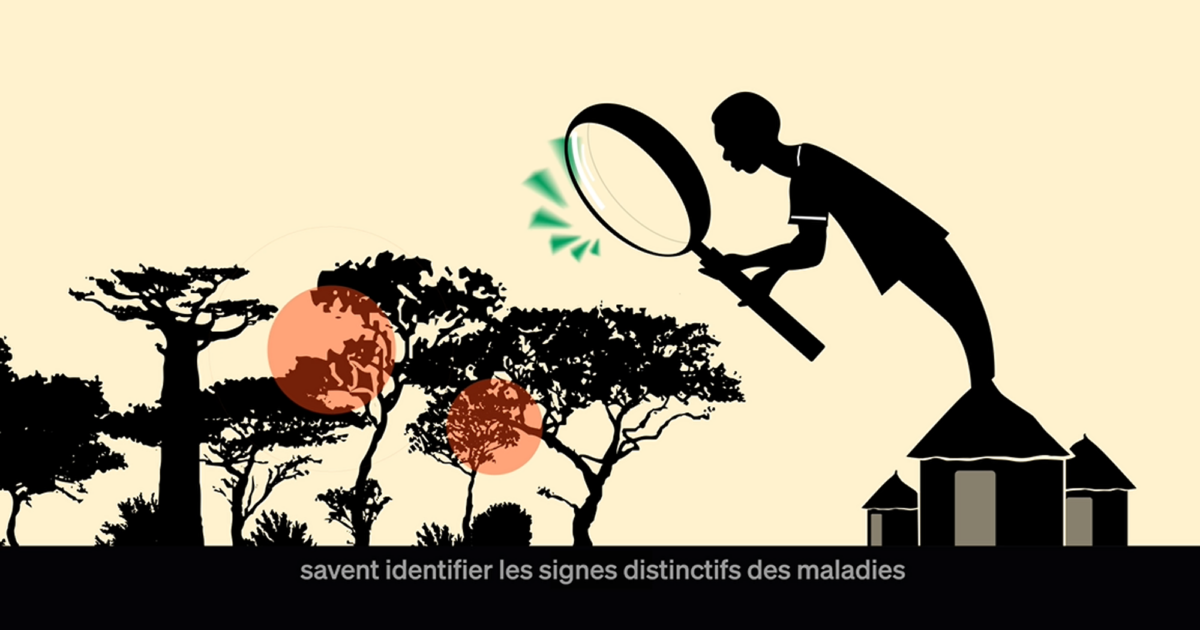 Motion design EBO-SURSY – Animal Pensant