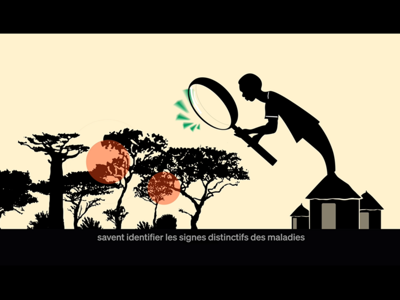 Motion design EBO-SURSY – Animal Pensant