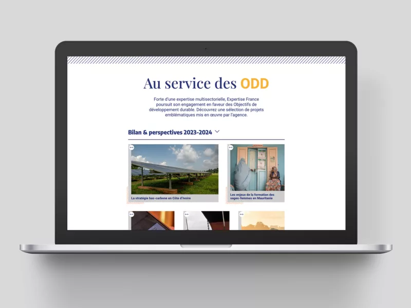 rapport-web-2023-animal-pensant-expertise-france-03