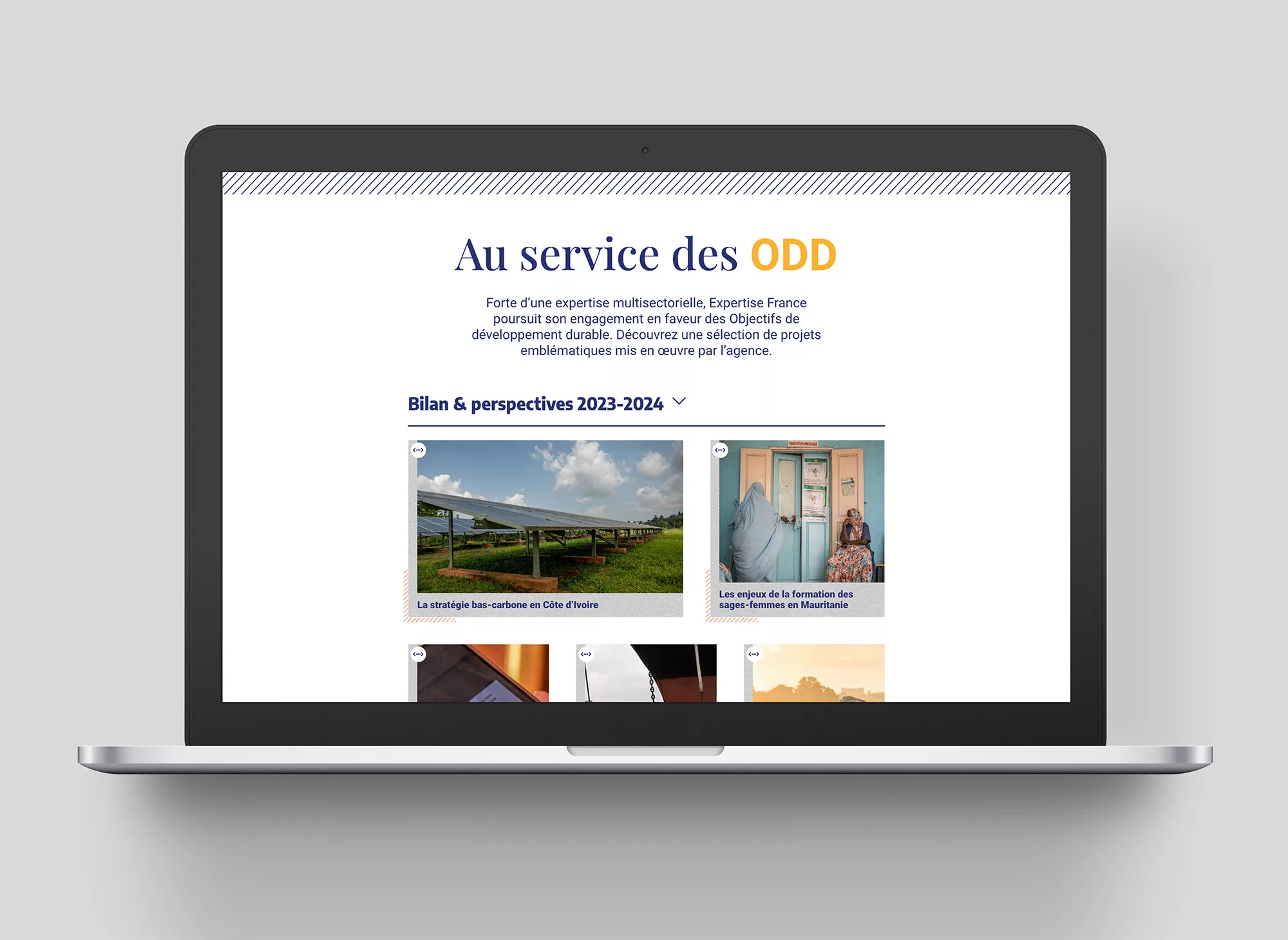 rapport-web-2023-animal-pensant-expertise-france-03