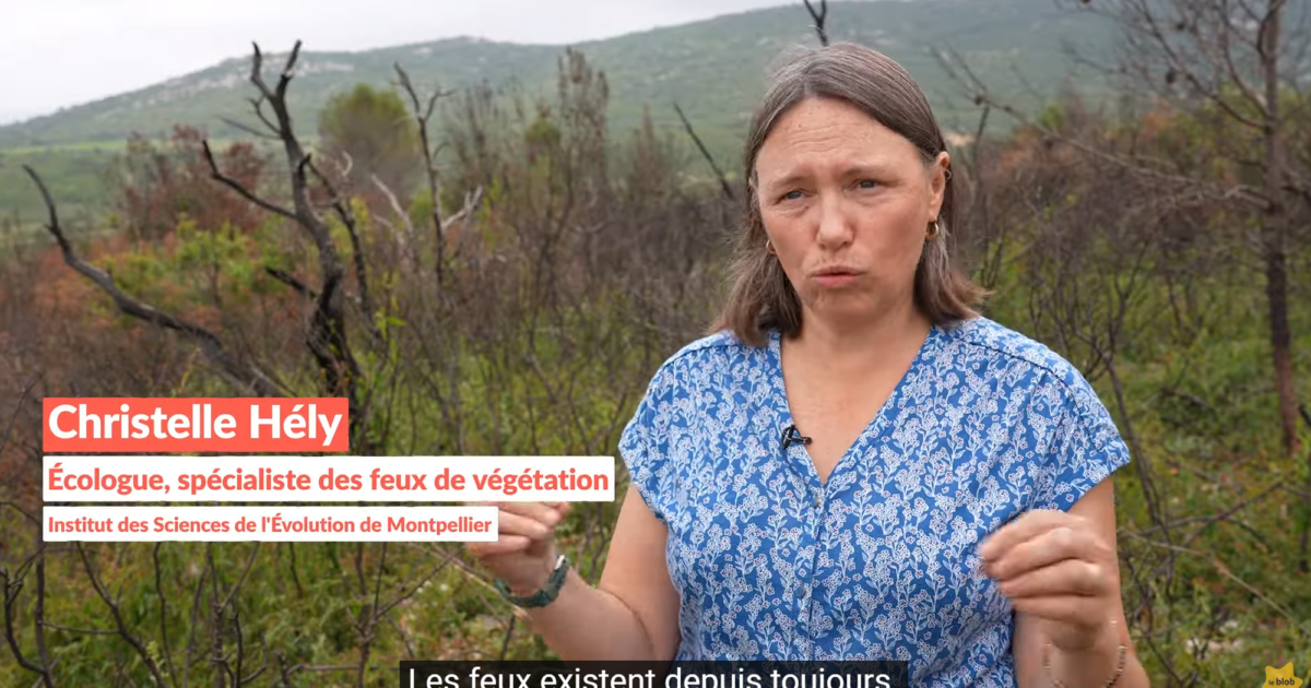 Feux de forêts – 3
