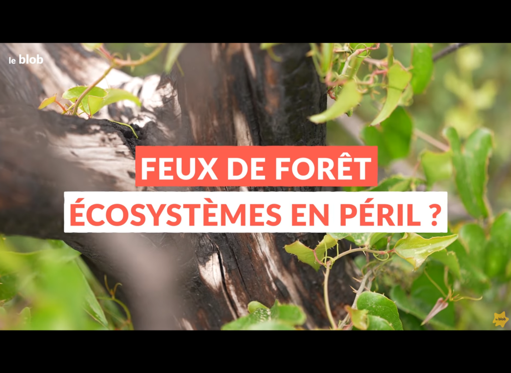 Universcience | Animal pensant - Feux de forêts vidéo
